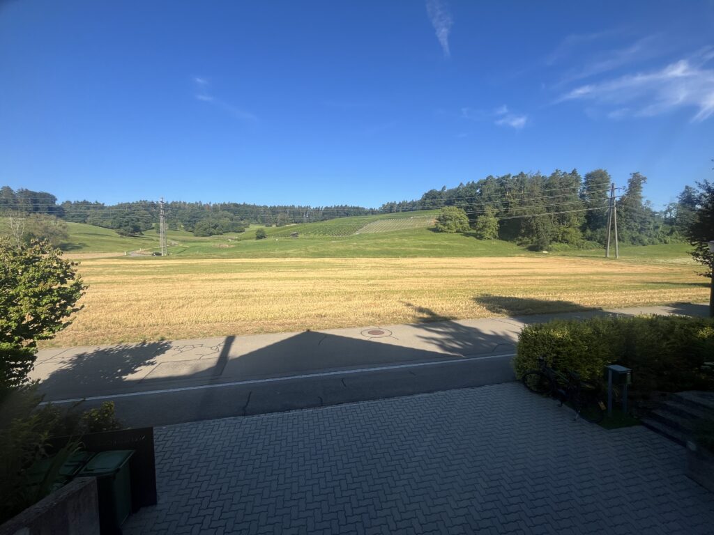 Blick auf den Bergbuck, vom Dorfrand aus