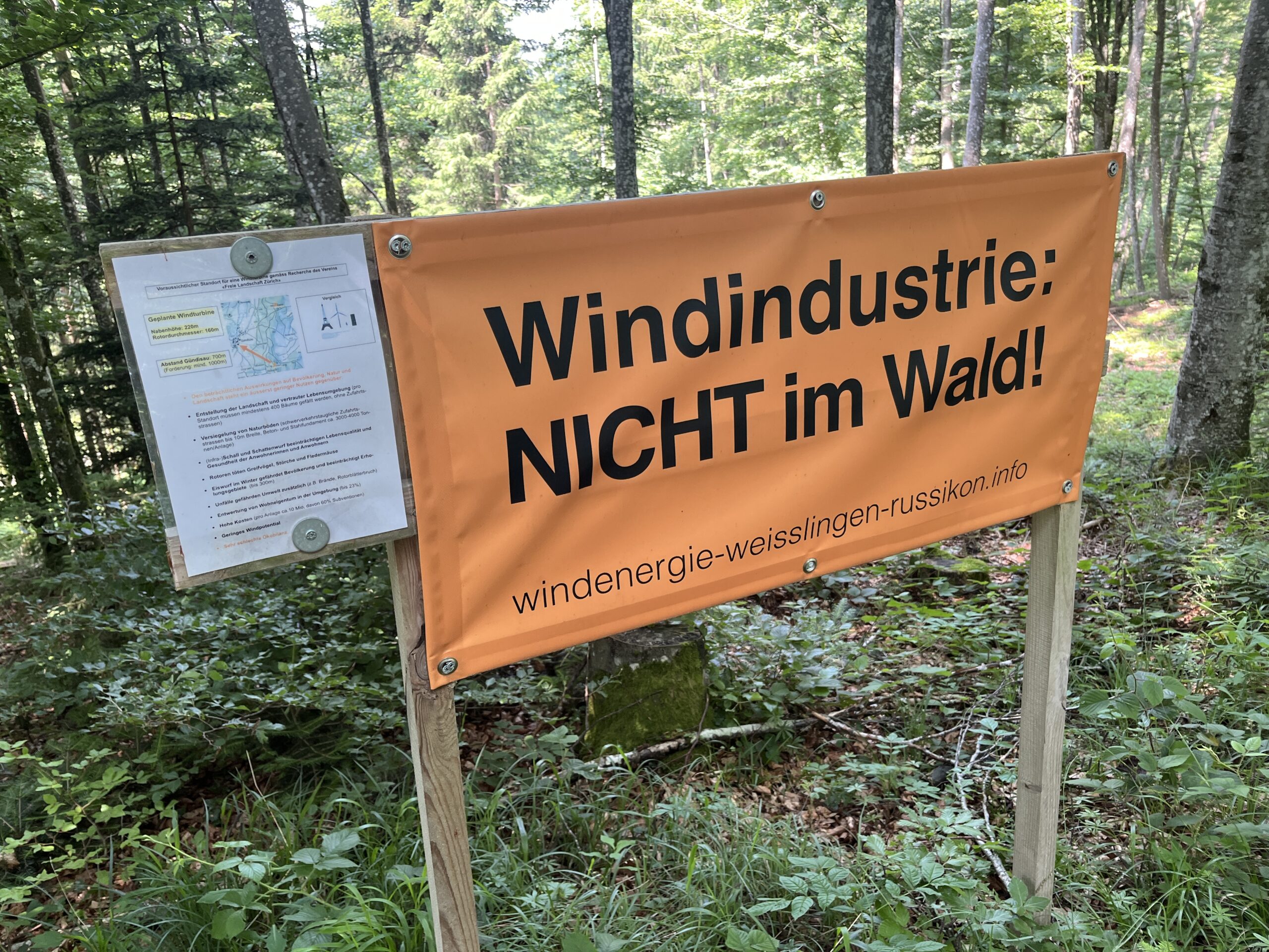 Pfingstmontag im Wald in Hermatswil ZH